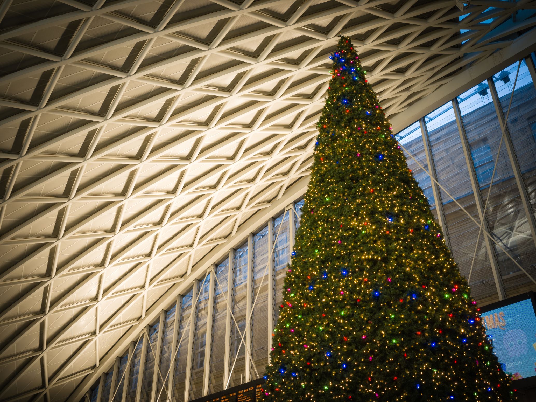 Christmas tree at St Pancras